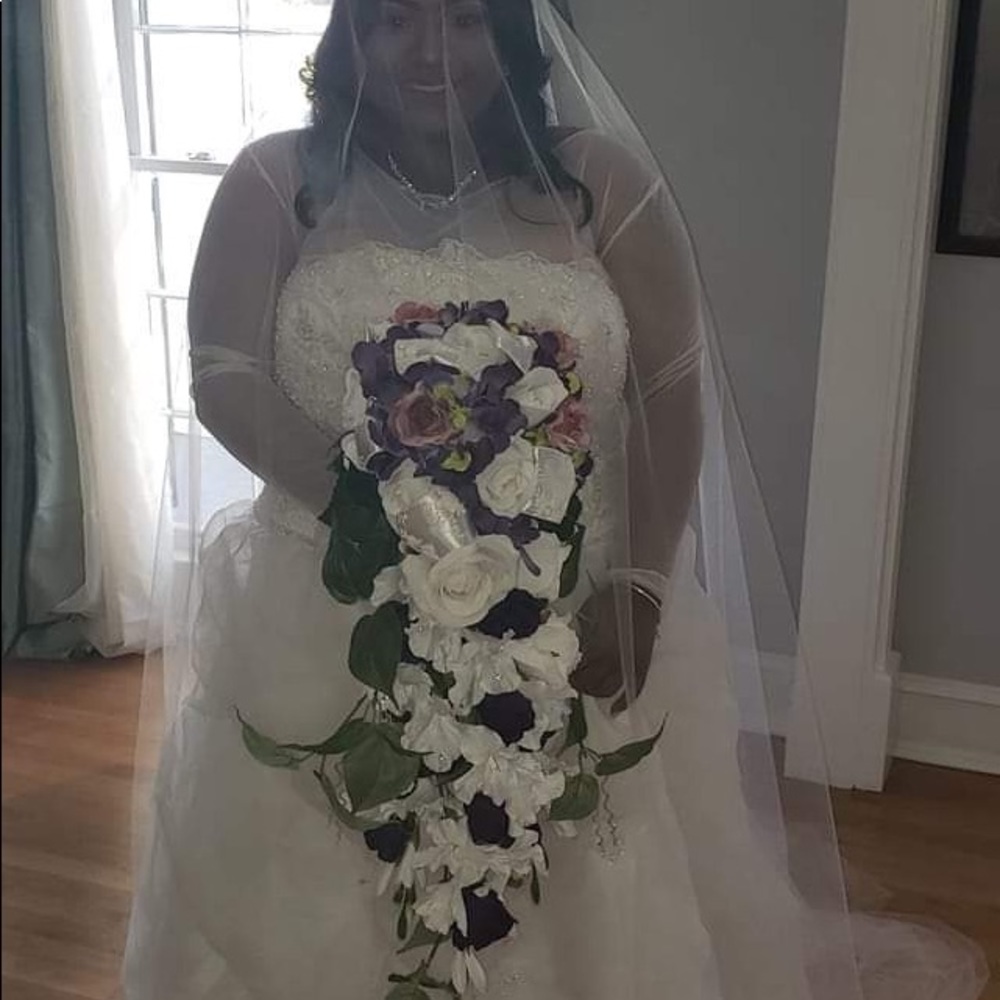 Plus Size Wedding Dress